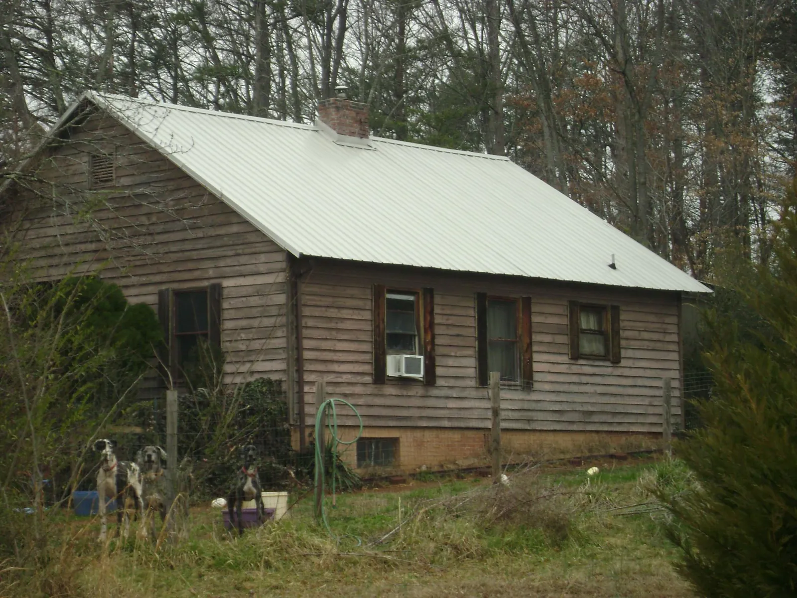 White metal roof on an old wood sided farmhouse, from a Metal Roof Installation job in Bellingham